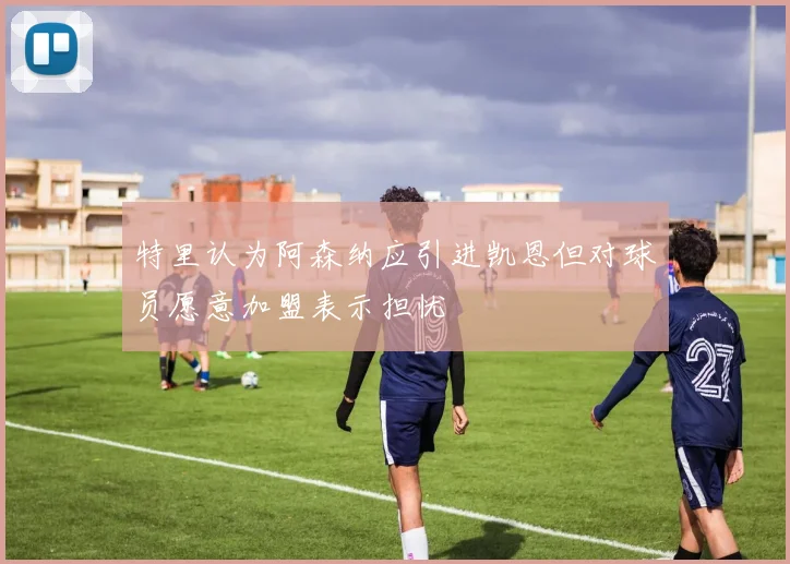 特里认为阿森纳应引进凯恩但对球员愿意加盟表示担忧